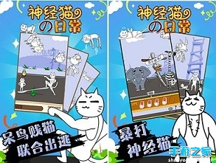 《神经猫的日常》登微信 逗比更胜从前图片3