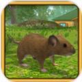 老鼠城市生活模拟器中文安卓最新版（Rat Simulator）