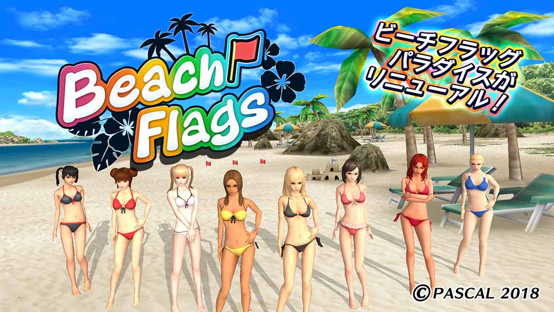 BeachFlags游戏图片1