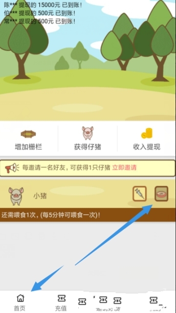 趣赚养猪APP游戏安卓版图2