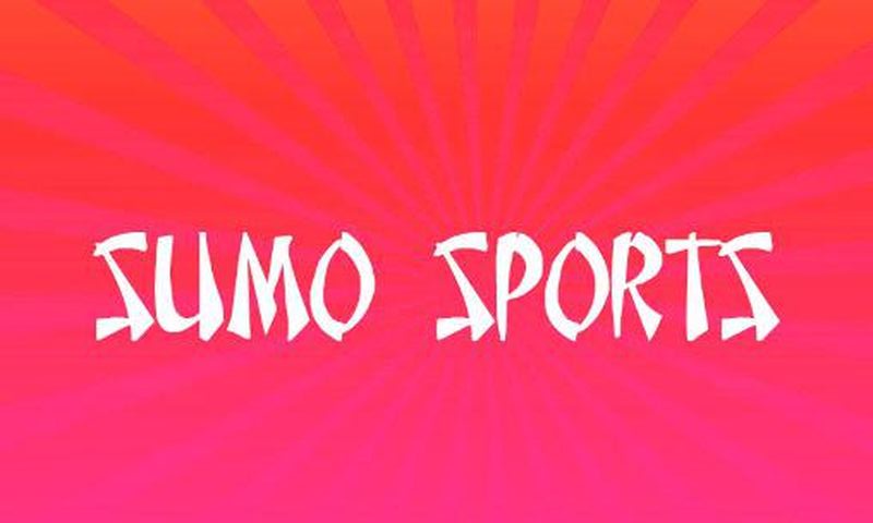 Sumo Sports游戏安卓最新版图3