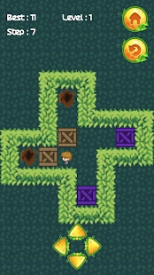 Push Box Garden图2