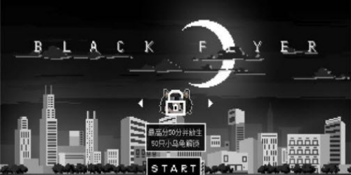 黑色飞行家(BlackFlyer)游戏安卓版图1