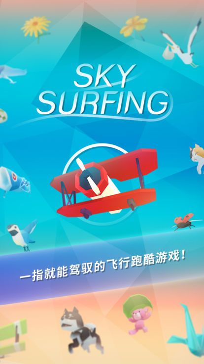 Sky Surfing图1