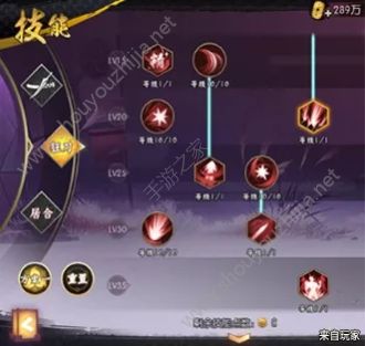 侍魂胧月传说狂刀流派刷图orPK加点攻略大全图片2