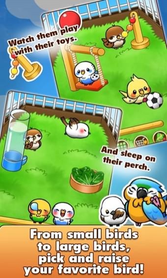 小鸟生活游戏安卓版下载图2