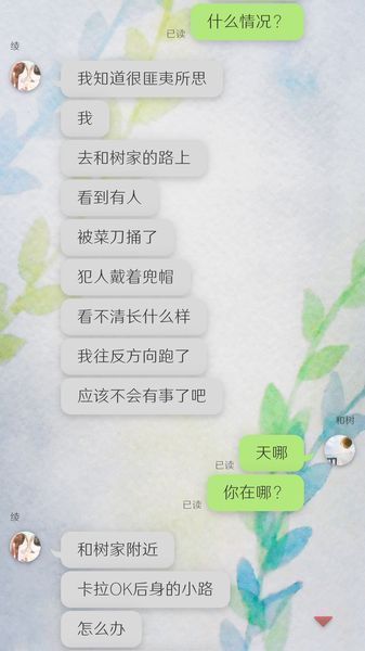 我的女友在被人追赶图2