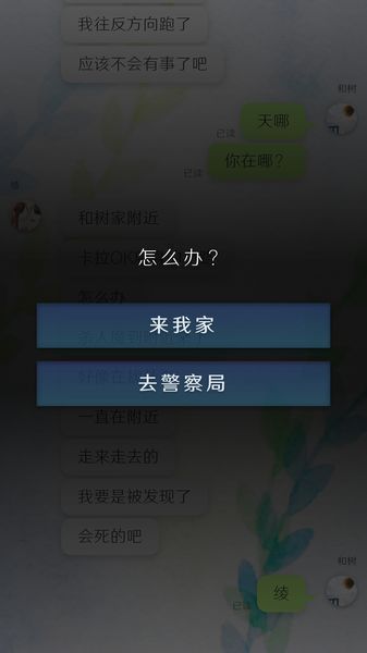 我的女友在被人追赶图3