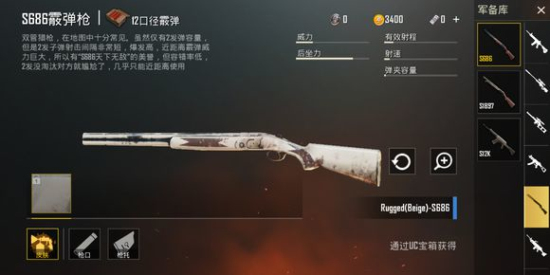 刺激战场新版本迷彩m416枪械皮肤：国际服新版本武器皮肤图鉴一览图片6