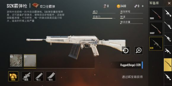 刺激战场新版本迷彩m416枪械皮肤：国际服新版本武器皮肤图鉴一览图片4