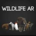 Wildlife AR游戏安卓最新版