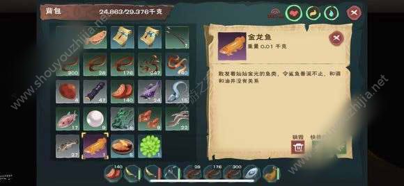 创造与魔法金龙鱼在什么地方钓？钓鱼诱饵及刷新地点图文攻略图片1
