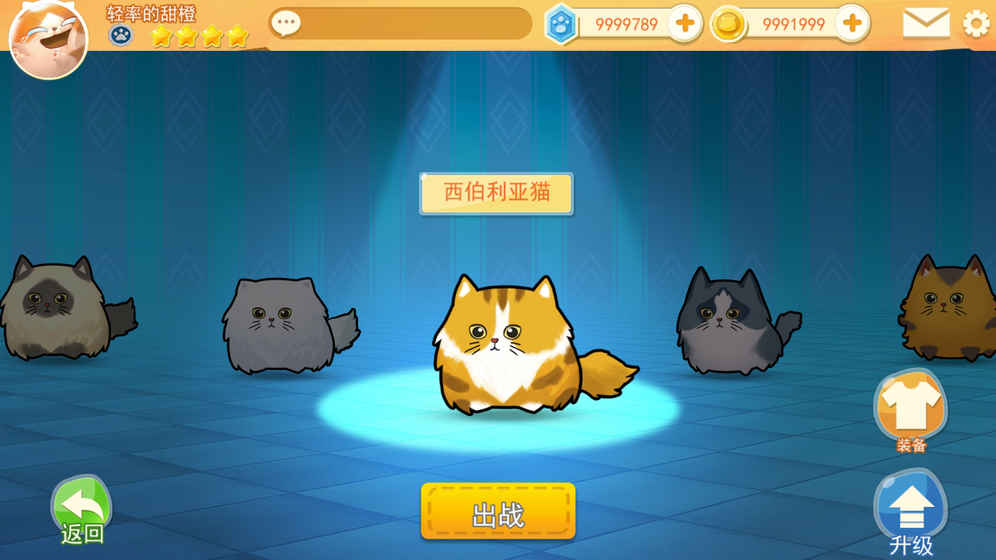 猫咪碰碰球游戏安卓版图2