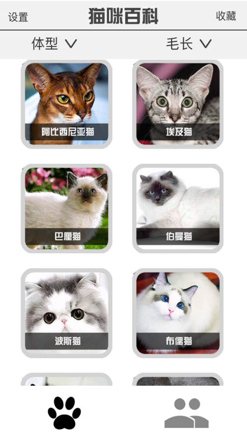 猫咪部落app图2