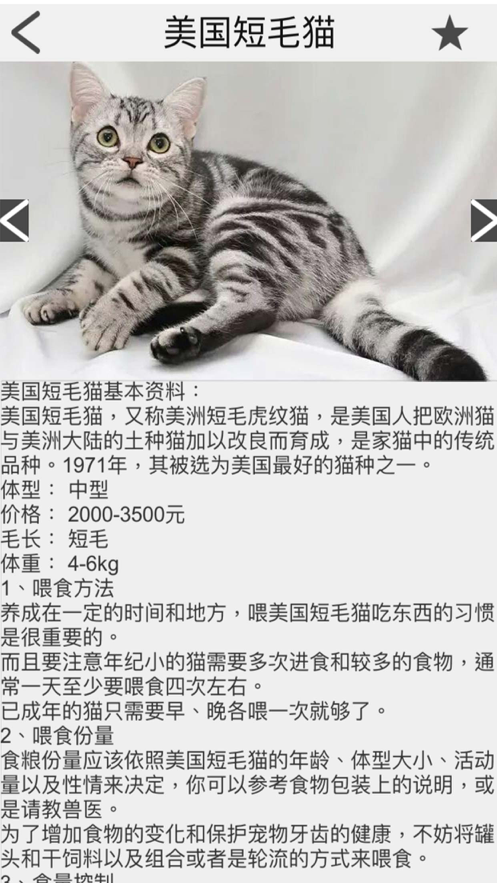 猫咪部落app图3