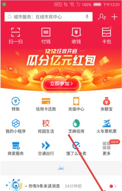 2019年支付宝度账单官方查询图片1