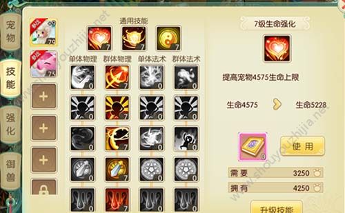 梦幻神界手游宠物培养攻略大全 教你培养属于自己的超级神兽图片4