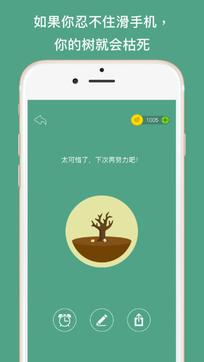 专注森林版图2
