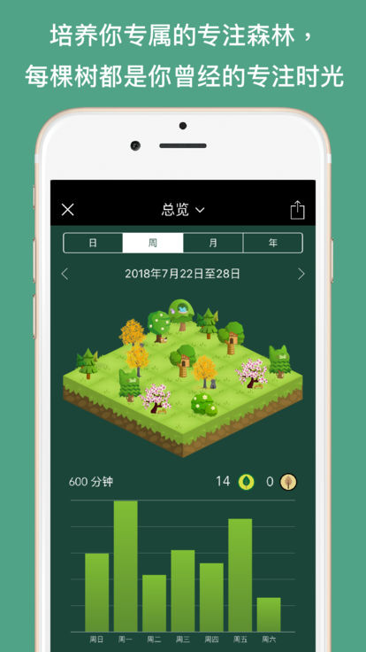 专注森林版图1