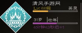 大冒险战无止境游戏评测，21个职业的冒险放置手游图片2