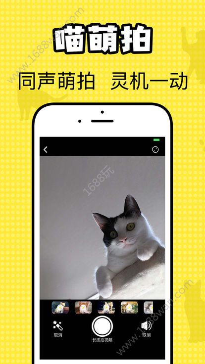 猫咪翻译官app图1