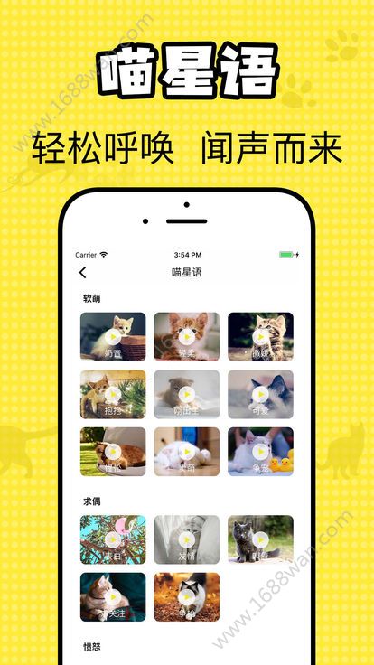 猫咪翻译官app图2