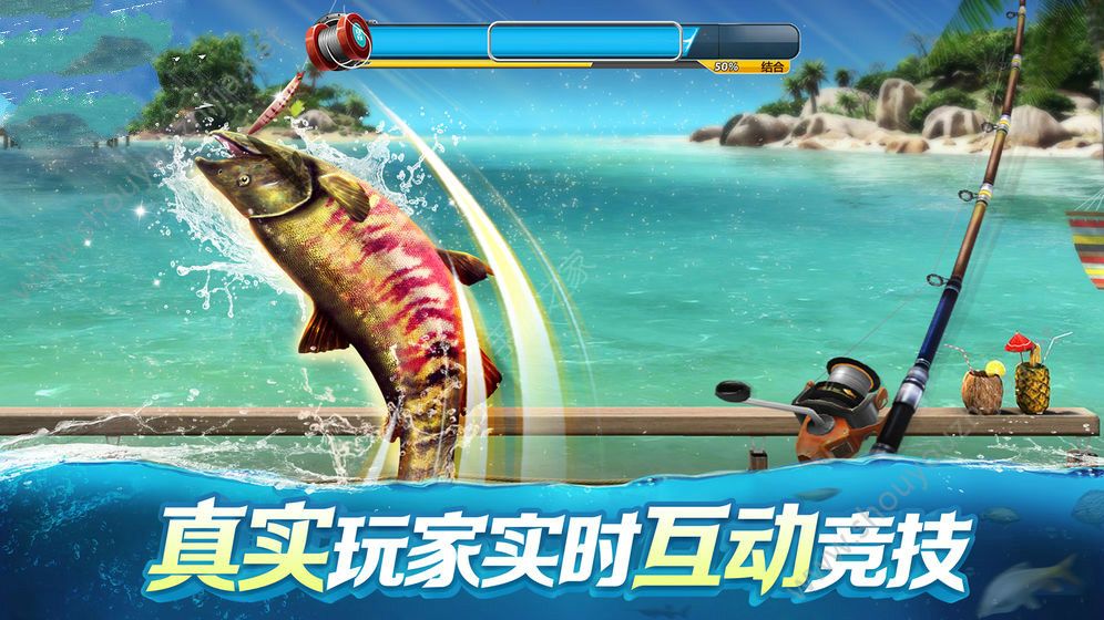 钓鱼季节游戏安卓版（Fishing Seaso）图2