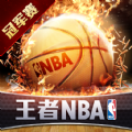 王者NBA总决赛