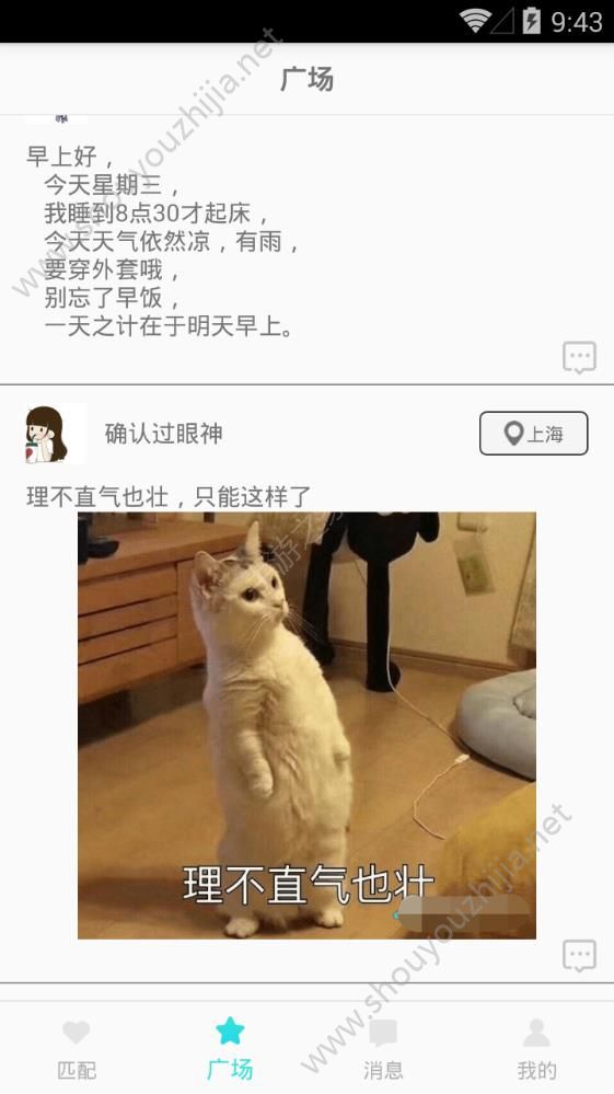 熊猫咪咪图1