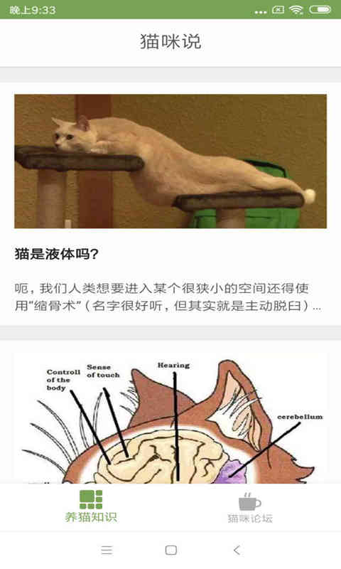 猫咪生活圈图1