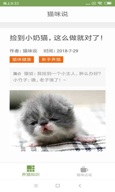 猫咪生活圈图2