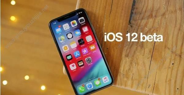 iOS12.4Beta6测试版图片2