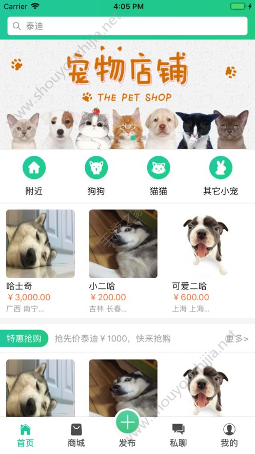 寻宠app手机版图1