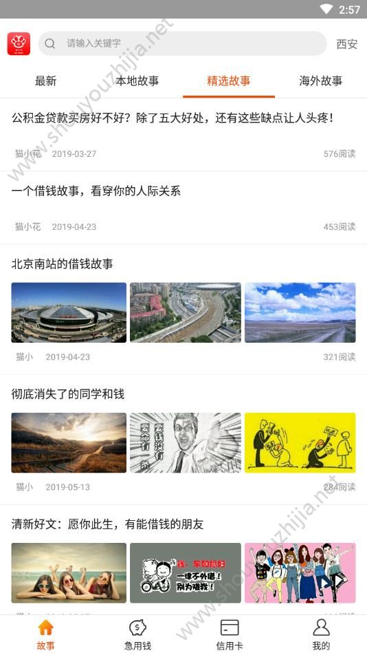 猫小花图2