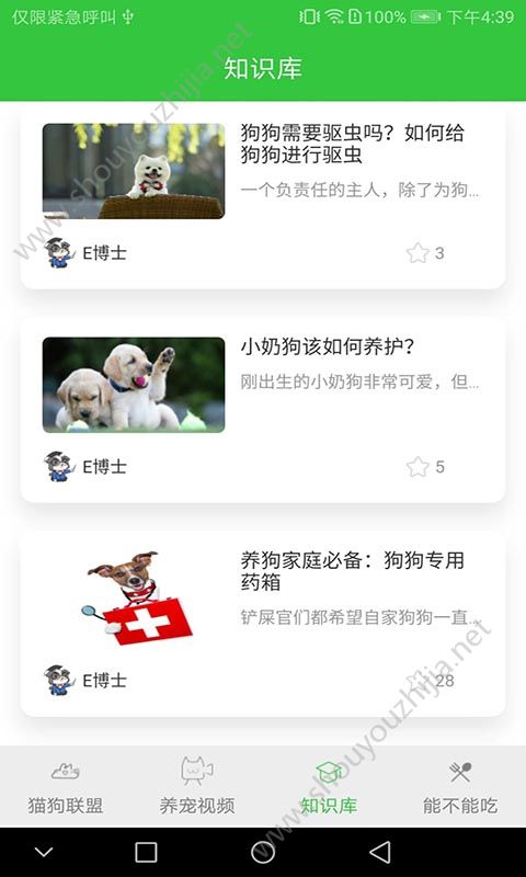 猫咪咪图1