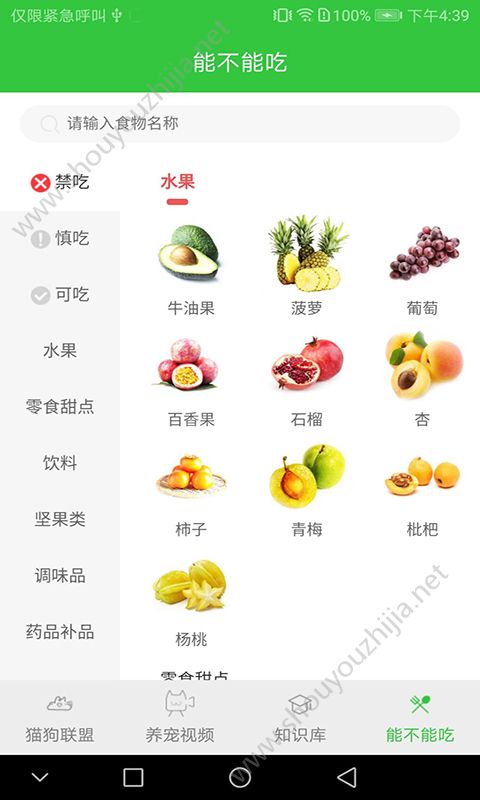 猫咪咪app图片1