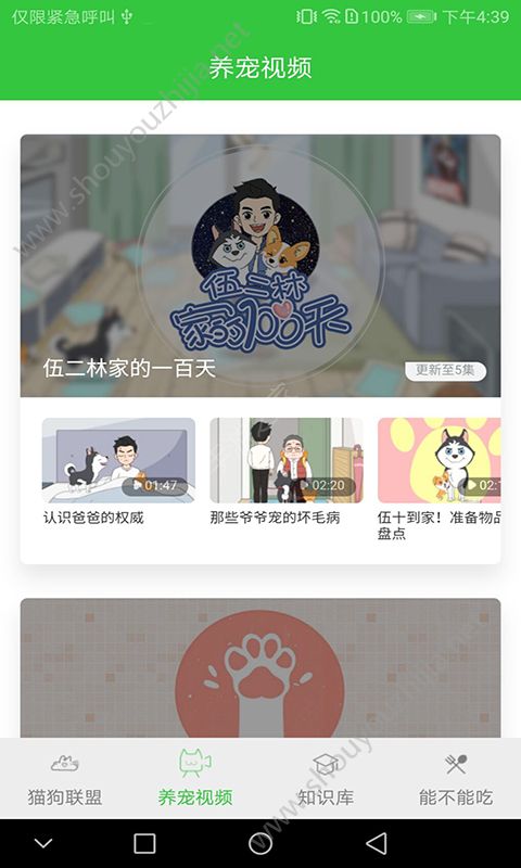 猫咪咪图2