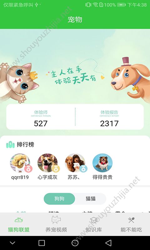 猫咪咪图3
