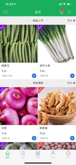 蔬批发图1