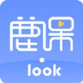 鹿课Look app手机版