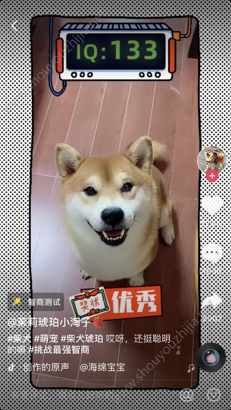 抖音智商测试游戏图3