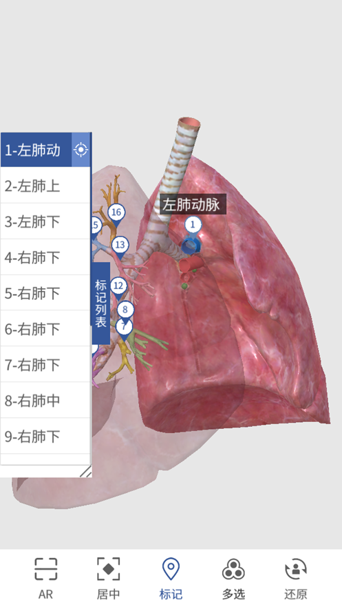 3D人体解剖图谱app图2