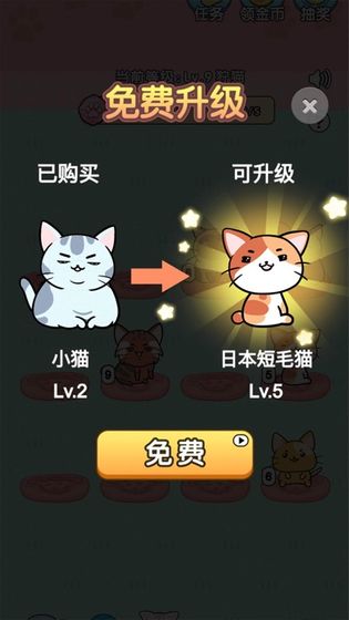 我的小猫红包版图1