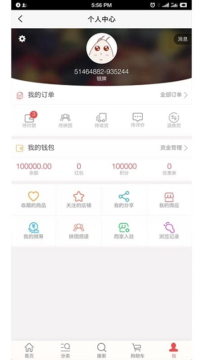 卡奈斯养车图2