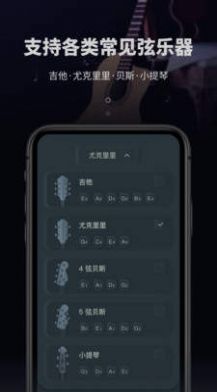 吉他电子调音器图1