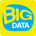 Bigdata2020app最新版