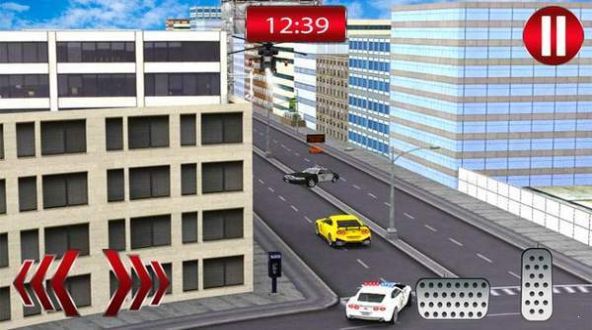 警察驾驶sim2020游戏图2