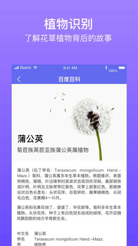 拍拍识图识字app图片1