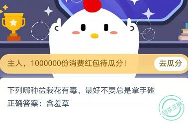 哪种盆栽花有毒最好不要总是拿手碰？蚂蚁庄园11月23日答案最新图片3