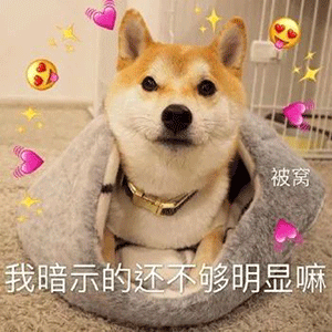 抖音好无聊啊要是我没怀孕这个点应该和姐妹们在拼酒了表情包图片图1